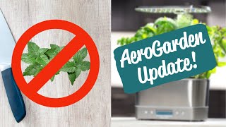 Still No Mint  AeroGarden Harvest Elite Review  Day 16 [upl. by Ylurt]