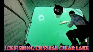 Clear Ice Fishing  Lake Simcoe Underwater Footage at 338 [upl. by Nytram]