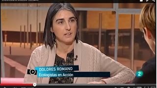 Entrevista a Dolores Romano [upl. by Adnahsar]