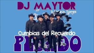 PESADO CUMBIAS DEL RECUERDO MIX DJ Maytor [upl. by Kiyoshi]