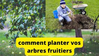 Comment planter un arbre fruitier  faire un pralinage a mettre sur les racines [upl. by Ahk193]