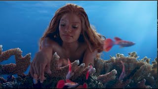 Ariel Vocalizing  All Scenes  The Little Mermaid 2023  Halle Bailey [upl. by Winston]