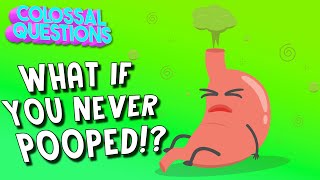 What Would Happen If You Never Pooped  COLOSSAL QUESTIONS [upl. by Guzel]