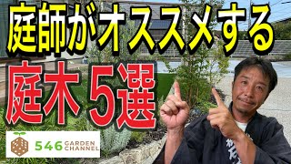 プロが教えるオススメ庭木ベスト５！造園のプロが、見た目と管理のし易さを兼ね備えた現代の庭にマッチする植木をご紹介。自宅の庭木選びにはこの動画を是非ご覧ください。 [upl. by Llemaj]