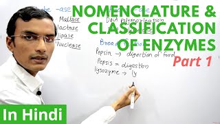 Nomenclature and Classification of Enzymes in Hindi  Part 1 [upl. by Jamal]