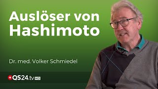 Die Zusammenhänge rund um Hashimoto  Dr med Volker Schmiedel  Naturmedizin  QS24 [upl. by Zonda966]