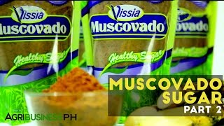 How to extract sugar cane  Muscovado sugar Part 2 Agriculture [upl. by Ais485]