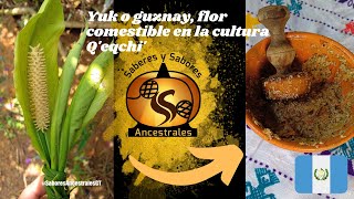 Elaborando Yuk o guznay flor comestible en la cultura Qeqchi [upl. by Acissaj]