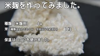 米麹（米こうじ）の作り方。コタツで作ってみました。 [upl. by Asert]