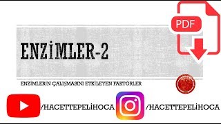 11 Enzimler2 Enzimlerin Çalışmasını Etkileyen Faktörler  TYT  9Sınıf  hacettepelihoca [upl. by Jaqitsch]