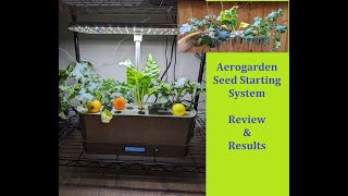 Aerogarden seed startingstarter system  Review amp Results Swiss Chard amp Kale [upl. by Menis]