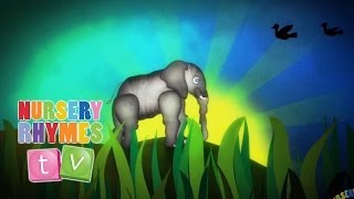 ELEPHANTS HAVE WRINKLES  New Nursery Rhymes  English Songs For Kids  Nursery Rhymes TV [upl. by Osnofledi789]