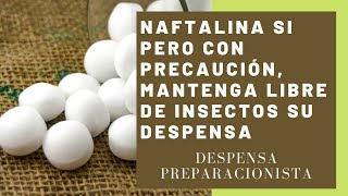 Naftalina sí pero con precaución mantenga libre de insectos su despensa [upl. by Eramat]