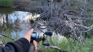 Fishing The Skinny Water Campaspe For Natives [upl. by Rifkin964]