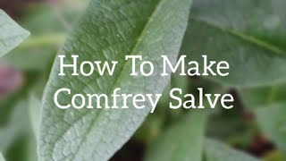 How To Make Comfrey Salve [upl. by Aerbua]