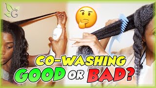 Cowashing does it really work  Pros and Cons [upl. by Myrwyn171]