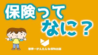 保険とは何か？考え方の基本を分かりやすく解説！ [upl. by Esereht]