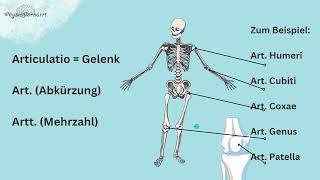 Grundbegriffe der Medizin 2 Grundsteine der Anatomie Abkürzungen verstehen [upl. by Stafani510]