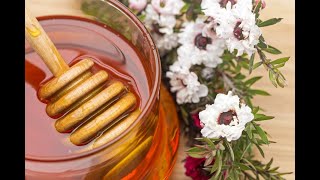 Manuka Honey A Promising Natural Treatment for Breast Cancer [upl. by Rehpotsirahc]