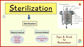 Sterilization and Disinfection  Microbiology  In Hindi  By Madhukar Sir [upl. by Atirak]