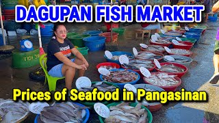 DAGUPAN FISH MARKET  Pangasinan’s Biggest Seafood Market Prices this November 2023  Philippines [upl. by Fuchs]