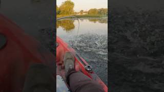 Pike Attack shorts fishing agressive pike angling kayakfishing exciting viral fish blowup [upl. by Marrin]