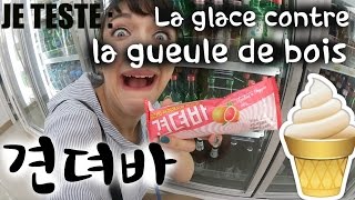 JE TESTE 견뎌바 LA GLACE CONTRE LA GUEULE DE BOIS HANGOVER POPSICLE 숙취 아이스크림 [upl. by Yanaj]