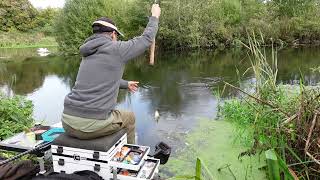 Waggler Fishing for River Roach [upl. by Albur]