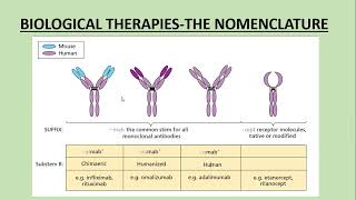 Lecture187 Principles of Systemic therapy Part4 Biological therapy Rooks chapter 19 [upl. by Llenaj266]