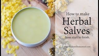 How to Make an Herbal Salve [upl. by Darcia433]