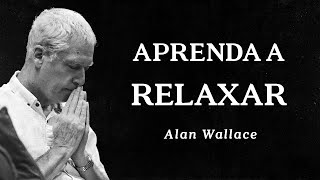 Alan Wallace  Aprenda a Relaxar [upl. by Ayar]