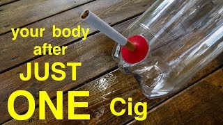 How Smoking Just 1 CIGARETTE Affects Your Lungs ● You Must See This [upl. by Marella]