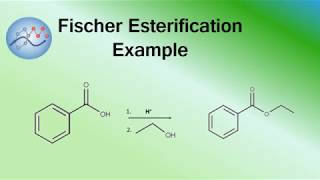 Fischer Esterification Example Mechanism Synthesis of Ethylbenzoate  Organic Chemistry [upl. by Holcomb]