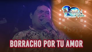 Borracho por Tu amor  Espléndidos de Salvia  En vivo 2022 [upl. by Enialedam]