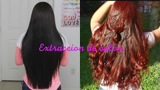 Extracción de Color en cabello negro Paso a paso [upl. by Friede]