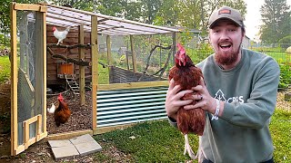 FARMER Builds DREAM Chicken Coop Run And PLAYGROUND [upl. by Aissyla]