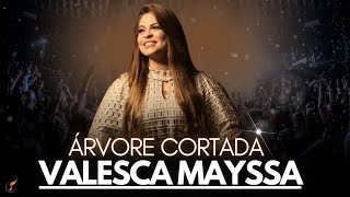 Valesca Mayssa  Os Melhores Clipes  DVD Árvore Cortada [upl. by Haletky752]