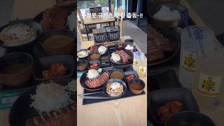 수성못 규카츠 맛집 출동맛집투어수성못규카츠shorts [upl. by Ahsitauq]