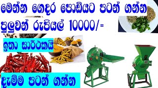 kulubadu viyapara karala mudal upayanna new business ideas sinhala [upl. by Bivins777]