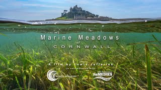 quotMarine Meadows of Cornwallquot 4k [upl. by Atnoved]