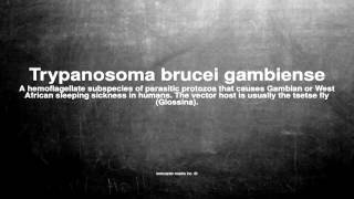 Medical vocabulary What does Trypanosoma brucei gambiense mean [upl. by Roanna206]