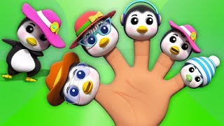 pingouin doigt famille  Penguin Finger Family  Baby Toons Network Française  dessins animés [upl. by Eade]