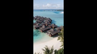 Honeymooner und Paare aufgepasst  Anantara Veli Maldives Resort [upl. by Ymmit845]