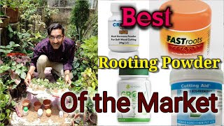 Which one is the Best Rooting Hormone Powder available in the Market Rooting Powder you can buy [upl. by Nogras125]