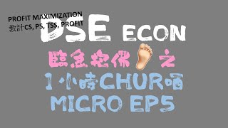 【DSE ECON 臨急抱佛腳  純計數】 profit maximization amp consumer surplus amp producer surplus amp profit 計算 [upl. by Airdnaz39]