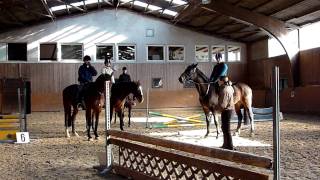 Reitabzeichen Reiterhof Konle  TRAININGSVIDEOS  5 [upl. by Negrom]