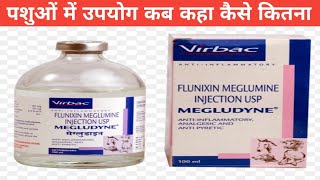 Inj megludyne uses in veterinary in hindi  Flunixin meglumine [upl. by Marcos]