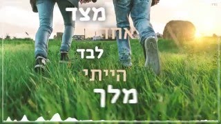 עומר אדם  שדות של תירוצים [upl. by Pepper698]