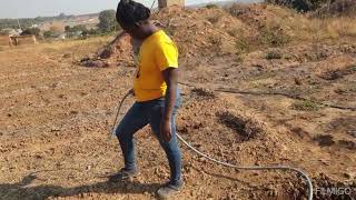 Life of a farm girl planting Pumpkins in Zambia Africa🇿🇲 farmlife farmer farming zambia africa [upl. by Ransell]