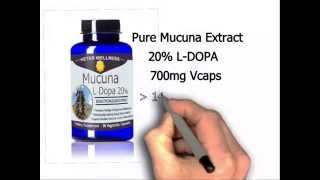 Mucuna pruriens Review  LDopa  A Superfood and Ayurvedic Herb [upl. by Fong]